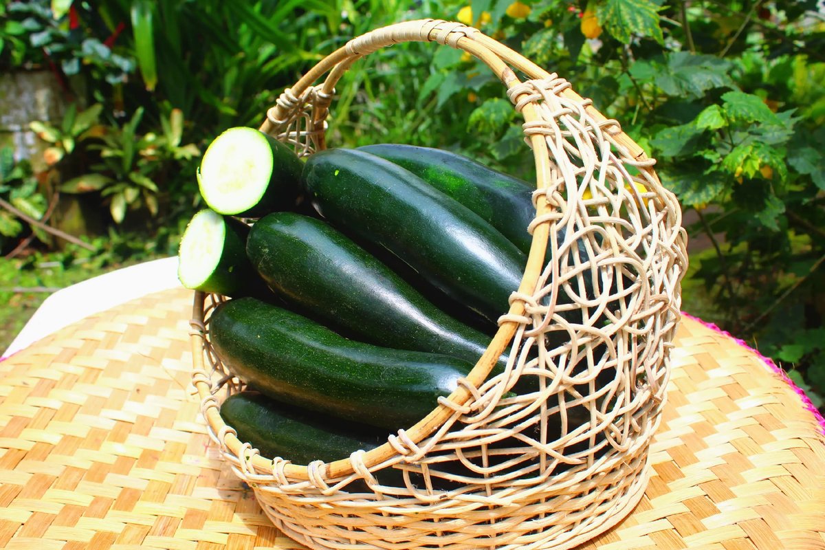 Zuccini hijau